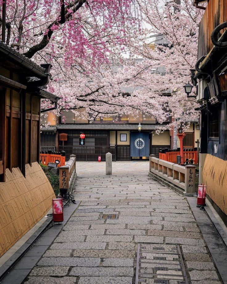 祇園白川
