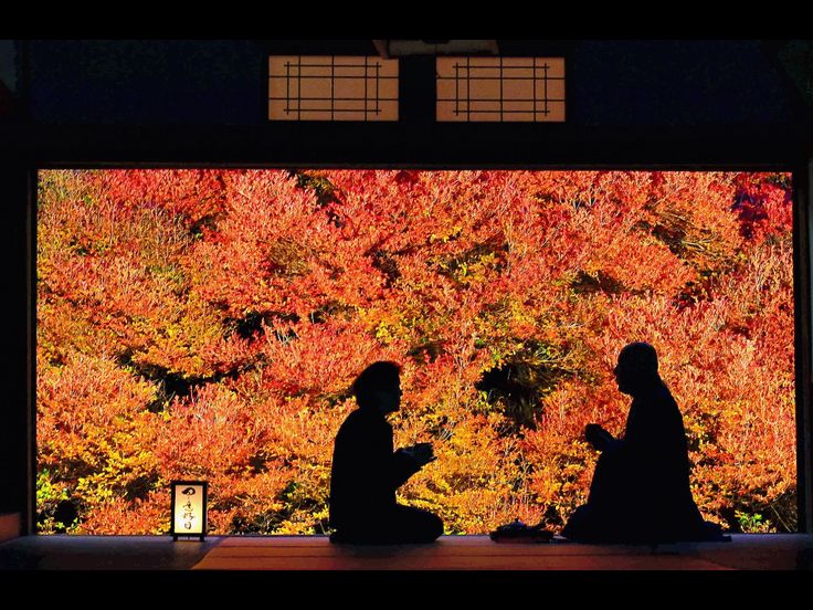 圓光寺